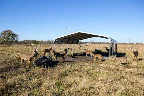 Villa 200-acre Lakefront Ranch In Wallis With Pvt Lake