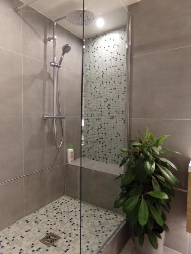 Apartamentos Your Home In Marseille***