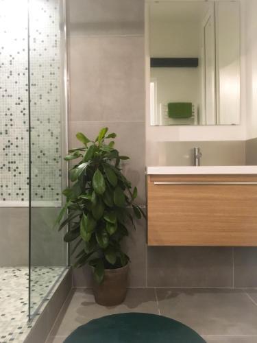 Apartamentos Your Home In Marseille***