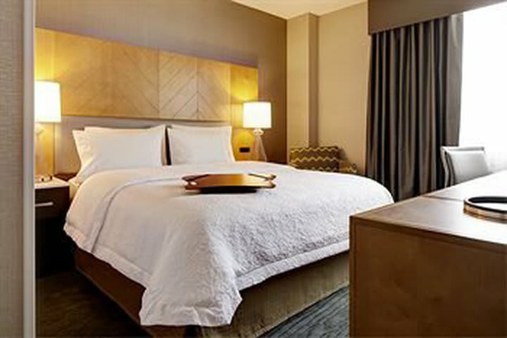 Hotel Hampton Inn Brooklyn Downtown