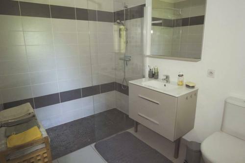 Maison,piscine,�tang P�che Priv� (la Pachere 64 )