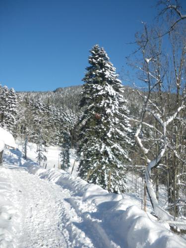 Bed & Breakfast Ferme Im-berg