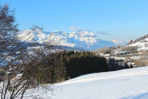 Chalet Les Meuniers