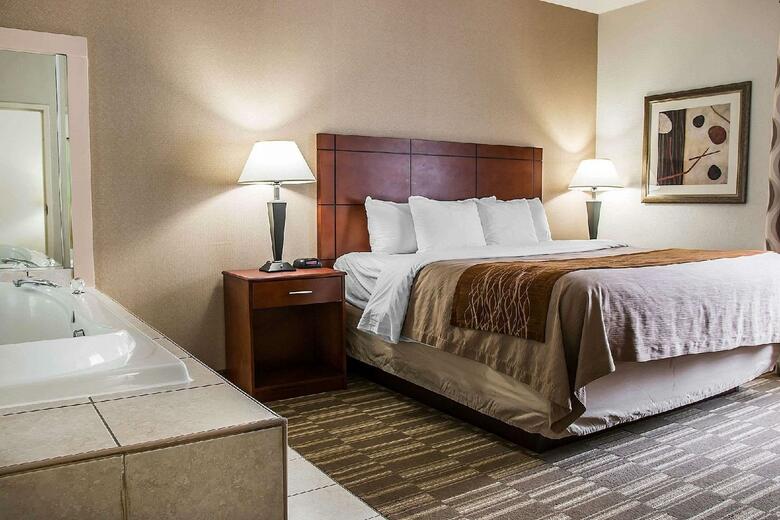 Hotel Comfort Inn & Suites University South
