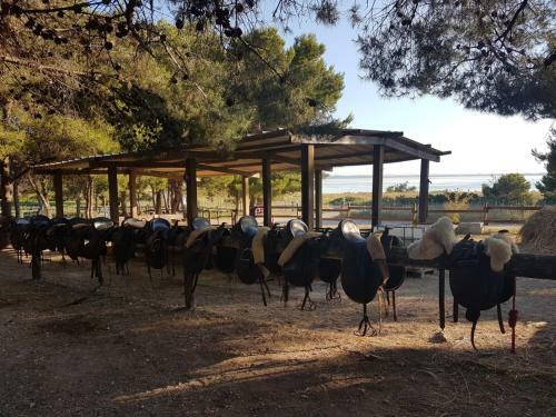 Apartamento T3 Cocooning Dans Copro Fleurie Mer Et Garrigue