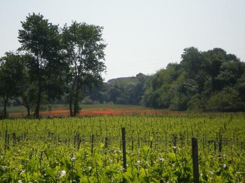 Apartamento Domaine De L?herbe Sainte
