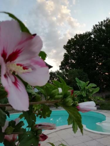 Bed & Breakfast Chambre D'h�tes Le Puits Darcy