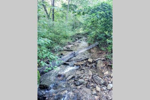 Lake Front Home 15 Min From Blueridge Mountains.