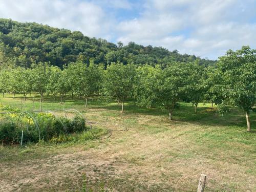 Maison P�rigourdine Avec Piscine