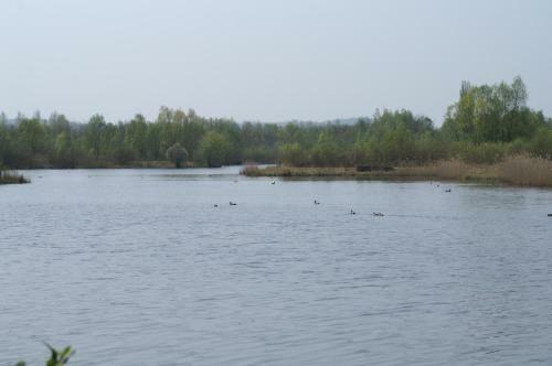 Le Lodge Des Bruy�res