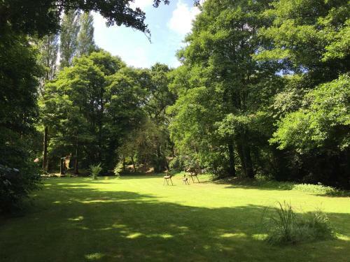 Bed & Breakfast Le Moulin De La Castellerie