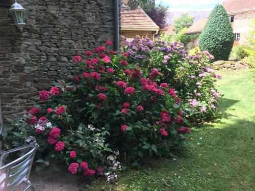 Bed & Breakfast Le Moulin De La Castellerie
