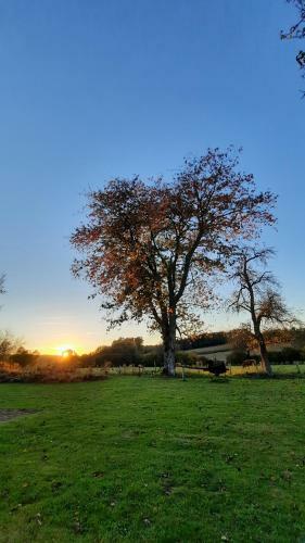 Bed & Breakfast Dans La Creuse
