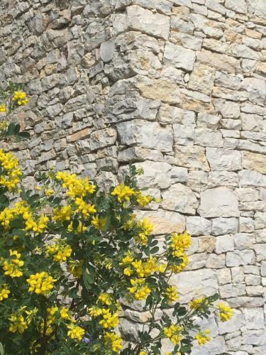 Bed & Breakfast La Chambre Haute