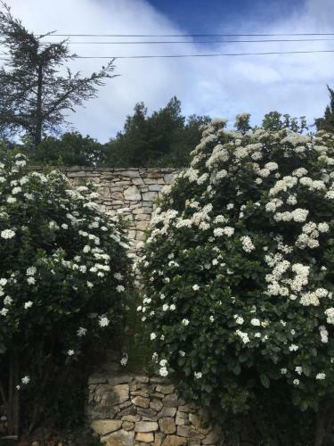 Bed & Breakfast La Chambre Haute