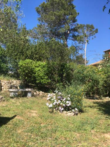 Bed & Breakfast La Chambre Haute