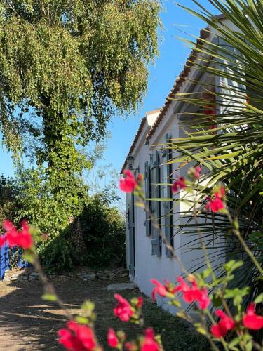 Maisons Parc Des Mimosas