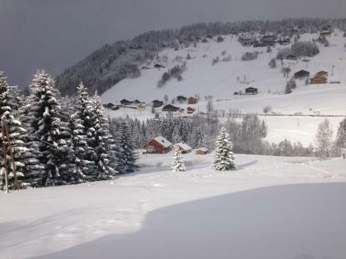 Aparthotel La Ferme Des Georgi�res