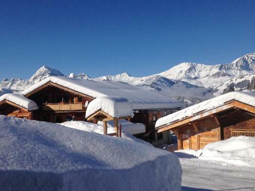 Aparthotel La Ferme Des Georgi�res
