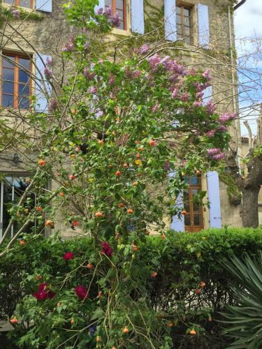Bed & Breakfast Chambre D'h�tes Eloi Merle
