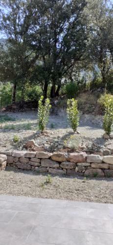Apartamento Appartement U Giallu