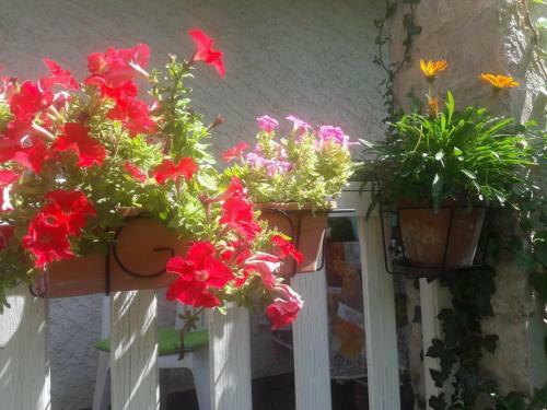 Bed & Breakfast La Maison de Marie-jeanne - Chambres Et Table D'h�tes