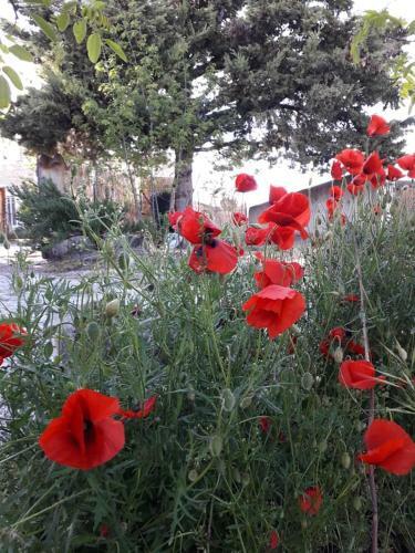 Bed & Breakfast La Maison de Marie-jeanne - Chambres Et Table D'h�tes