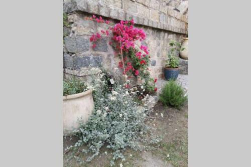 Apartamento Appartement De Charme � Olmeto