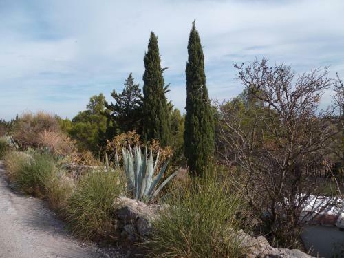 Bed & Breakfast La Chambre D'opoul