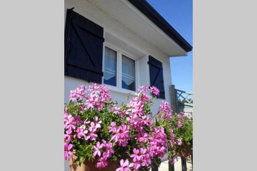 Apartamentos Coquet Studio En M�doc + Jacuzzi