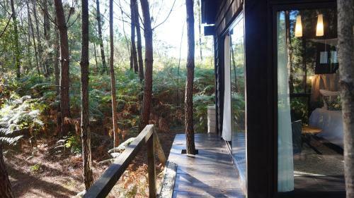 Bed & Breakfast Les Landines