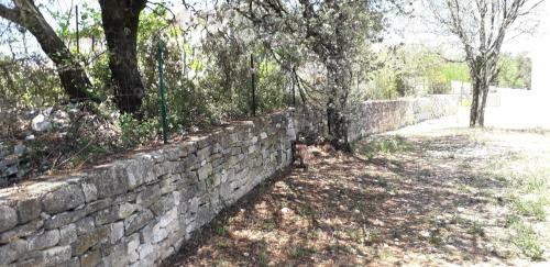 Au Clos Des Faysses