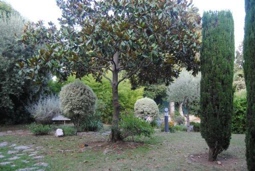 Apartamento Les Palmiers