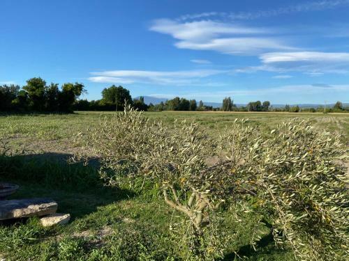 Location G�te Campagne En Provence - Vaucluse