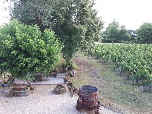 Ch�teau Vieux Mougnac