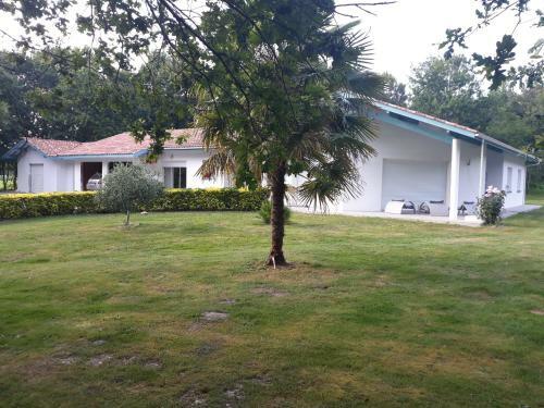 Hostal Chambre D'h�tes Du Pin