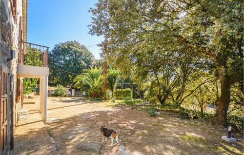 Awesome Home In Petreto Bicchisano With Wifi