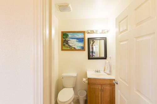 Coconut Palms Three Bedroom House By Kehena Beach