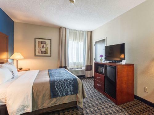 Hotel Comfort Inn Decatur