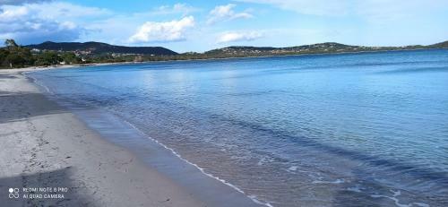 Apartamento Lecci St Cyprien Don Andria