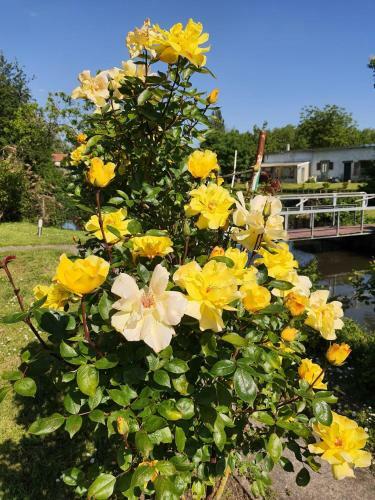 Apartamento Le Cottage Des Hortillons