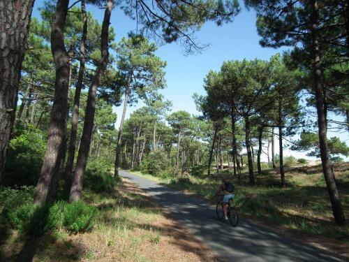 Villa Ronce-les-bains - Charmante Maison - Hyper Centre - Tres Proche Plage