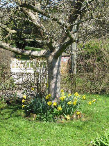 Bed & Breakfast La Roseraie Du Prieure