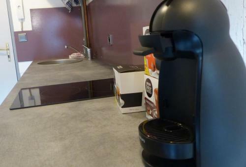 Apartamento Studio Tout �quip� Centre Ville