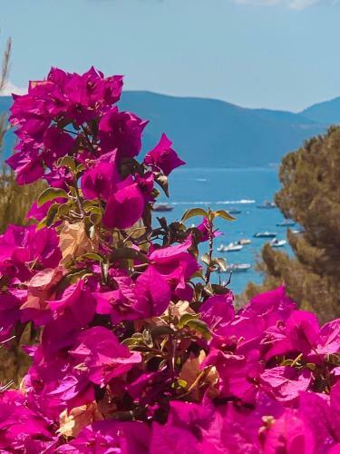 Villa Turquoise Sagone