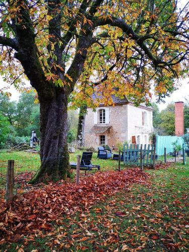 Gite Aux Bonheurs Des �nes