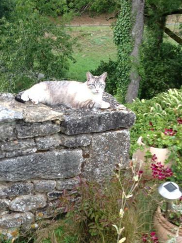 Bed & Breakfast Chambre D'h�tes Lasserre