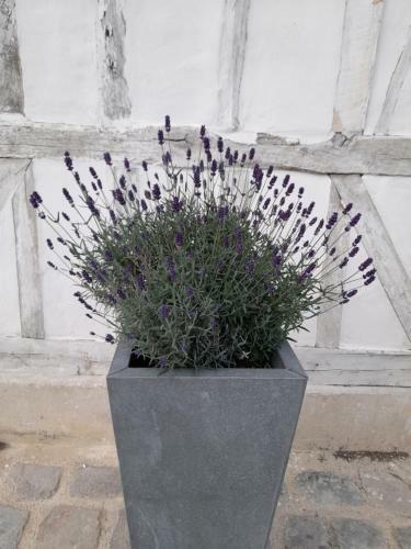 Bed & Breakfast Le Clos De L Agneau