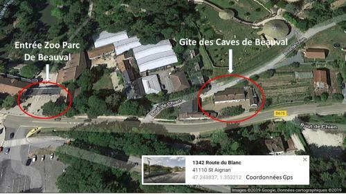 G�te Caves De Beauval (� 100m Du Zooparc !)