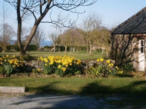 Hostal Maison D'h�tes "bienlivien"